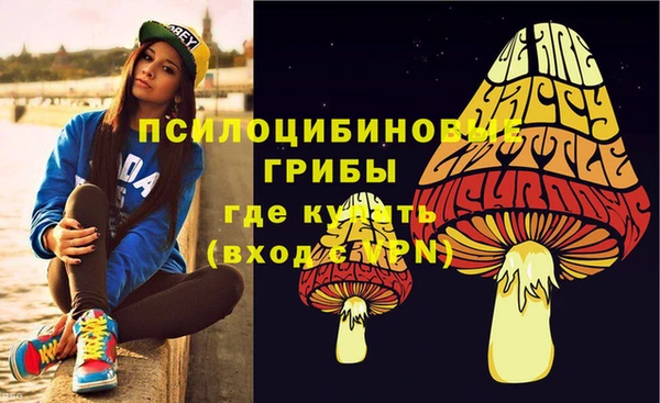 ПСИЛОЦИБИНОВЫЕ ГРИБЫ Карпинск