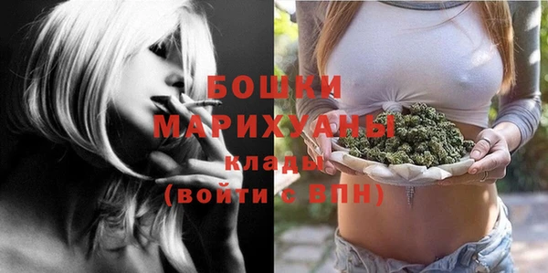 ПСИЛОЦИБИНОВЫЕ ГРИБЫ Карпинск
