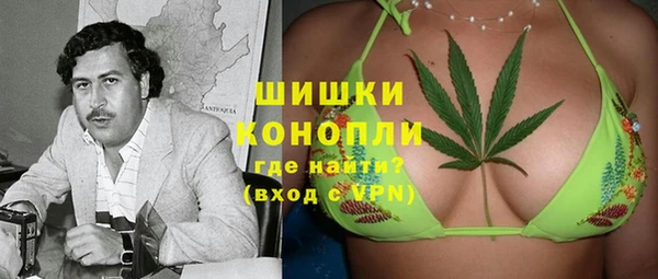 ПСИЛОЦИБИНОВЫЕ ГРИБЫ Карпинск